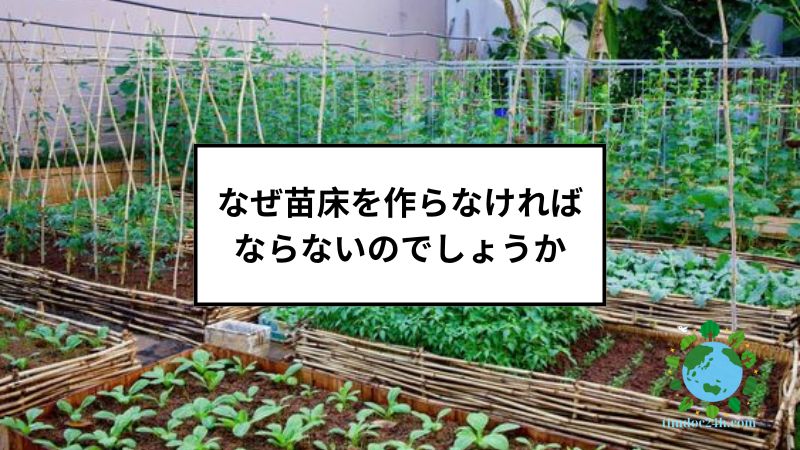 なぜ苗床を作らなければならないのでしょうか