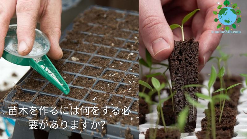 苗木を作るには何をする必要がありますか？