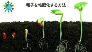 種子を堆肥化する方法