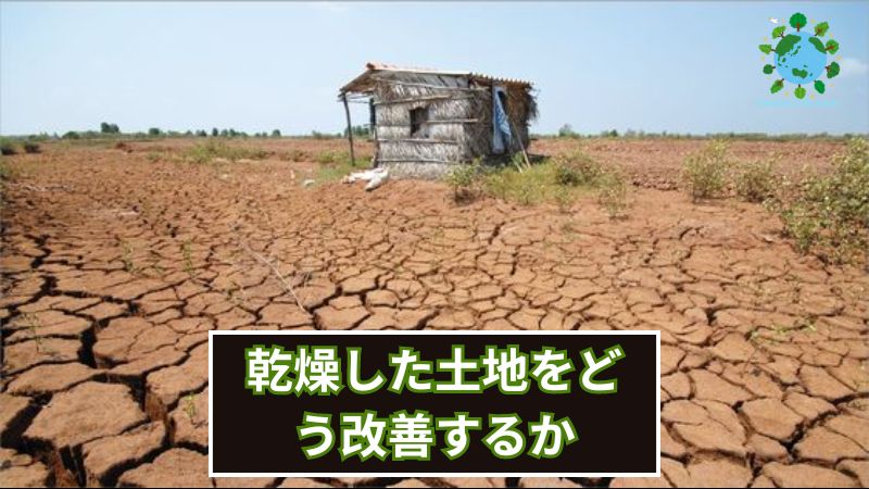 乾燥した土地をどう改善するか