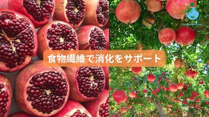 食物繊維で消化をサポート