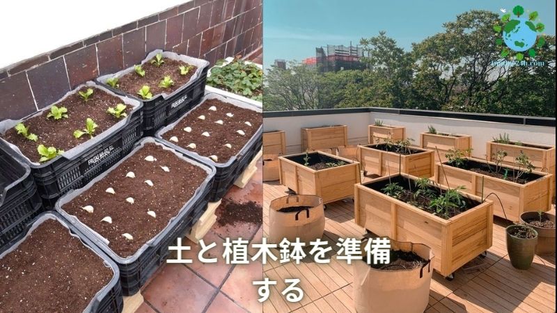 土と植木鉢を準備する