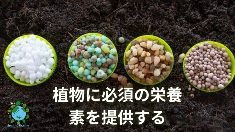 植物に必須の栄養素を提供する