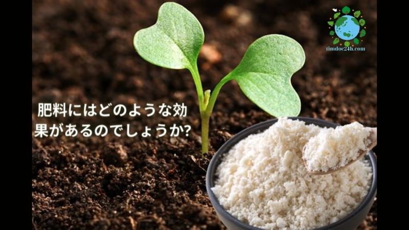 肥料にはどのような効果があるのでしょうか