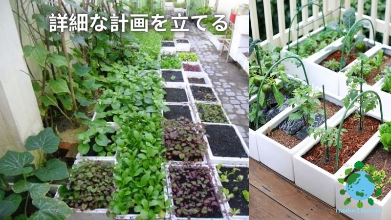 発泡スチロールの箱で野菜を育ててお金持ちになる